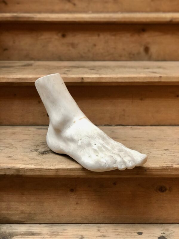 Le Pied