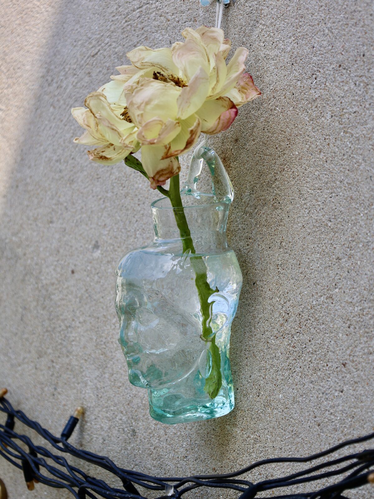 simon-vase-mural-vase-transparent-vase-head