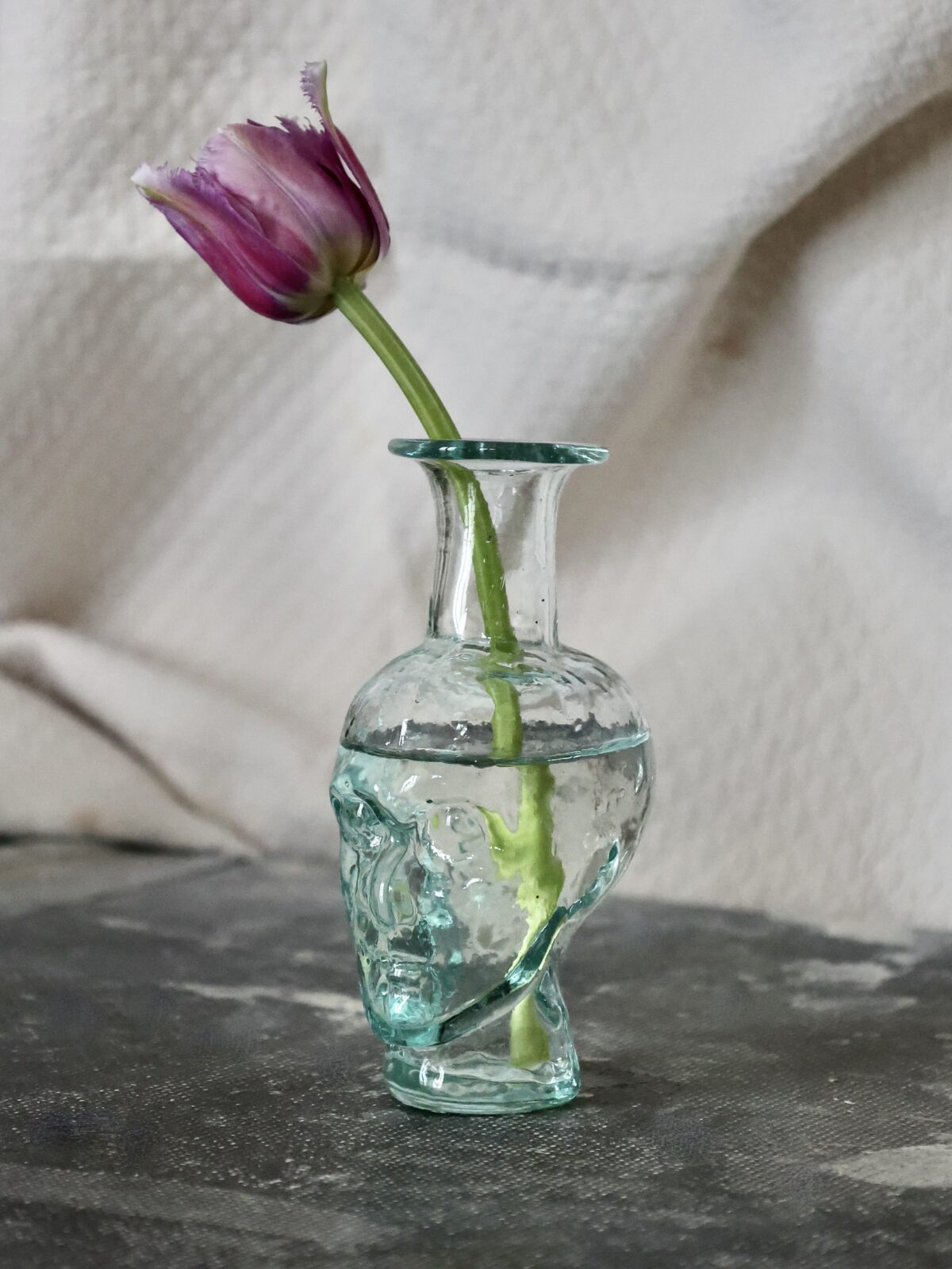 the-philosopher-bud-vase-transparent-