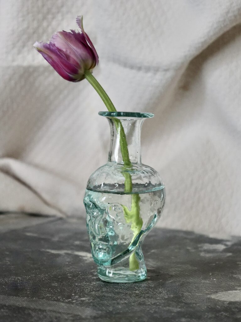 the-philosopher-bud-vase-transparent-